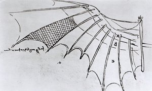 Studies of Wing Articulation, 1487-90
